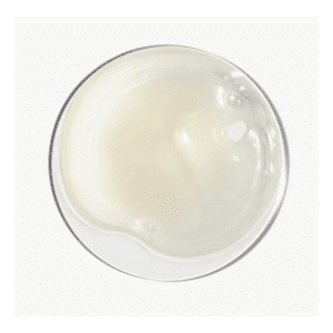 ذا إنكي ليست علاج تقشير فروة الرأس بحمض الساليسيليك – 150 مل ذا إنكي ليست علاج تقشير فروة الرأس بحمض الساليسيليك - 150 مل